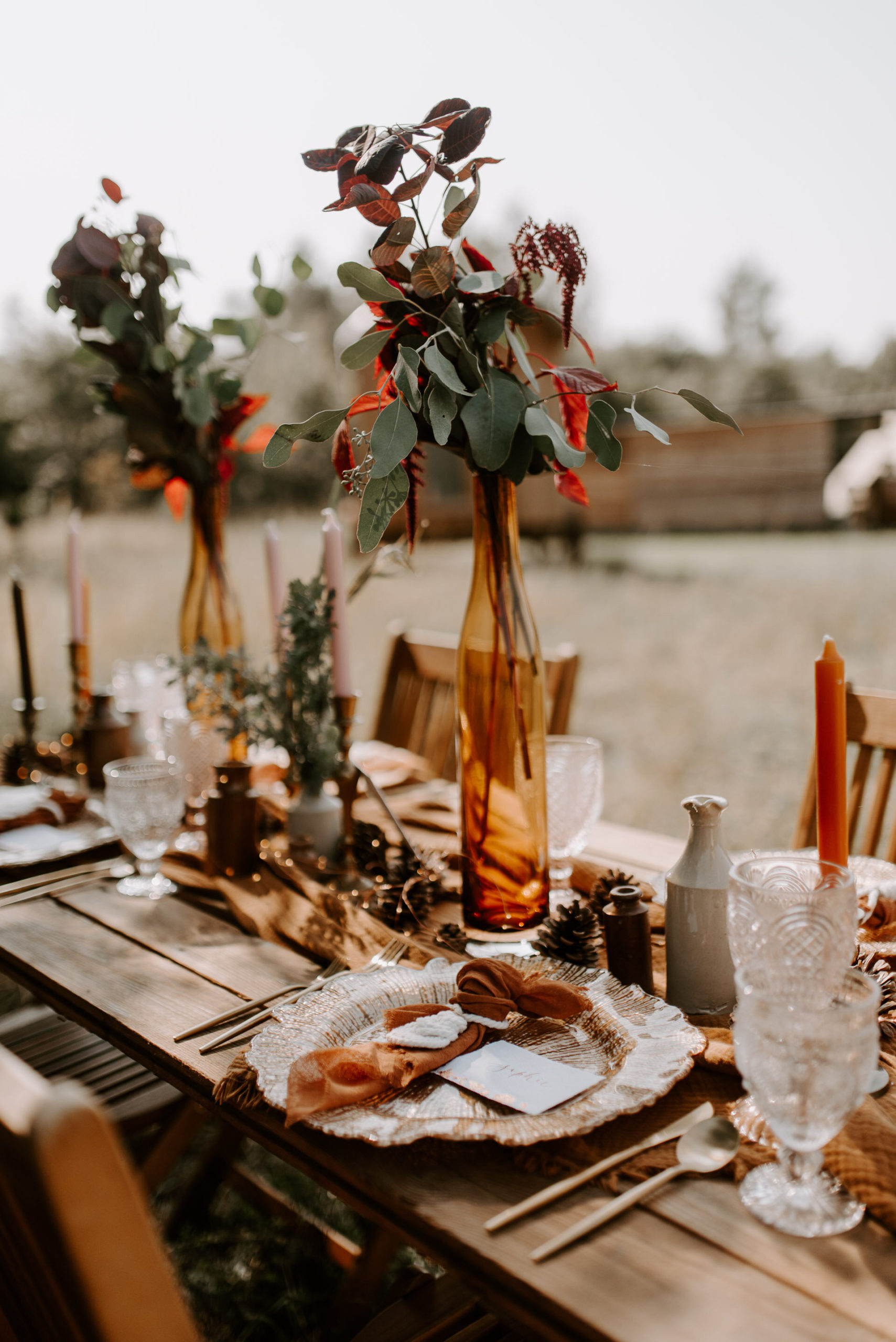 Wellington Wood - 22.9.20 - Laura Williams Photography - Blog-13.jpg
