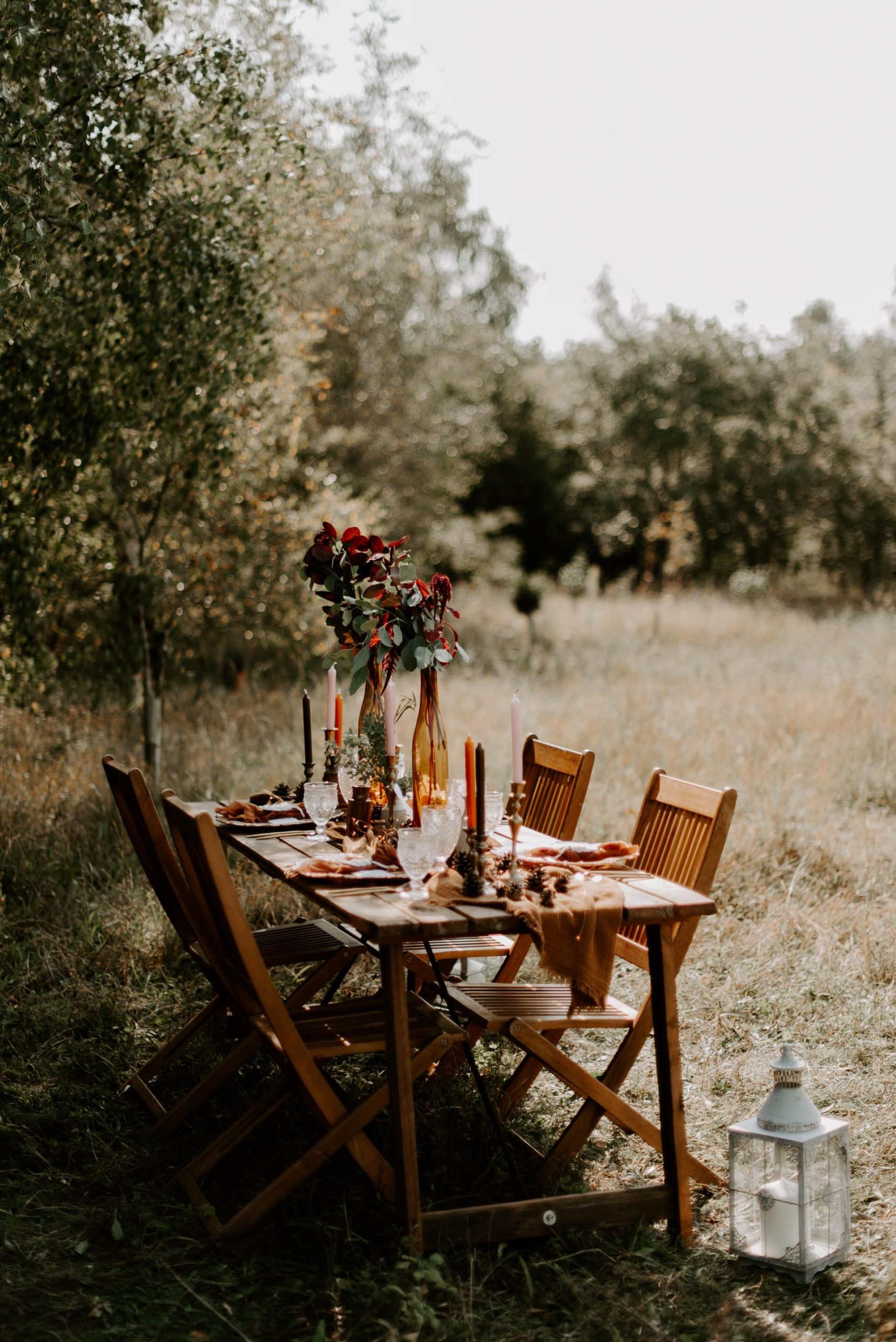 Wellington Wood - 22.9.20 - Laura Williams Photography - Blog-14.jpg