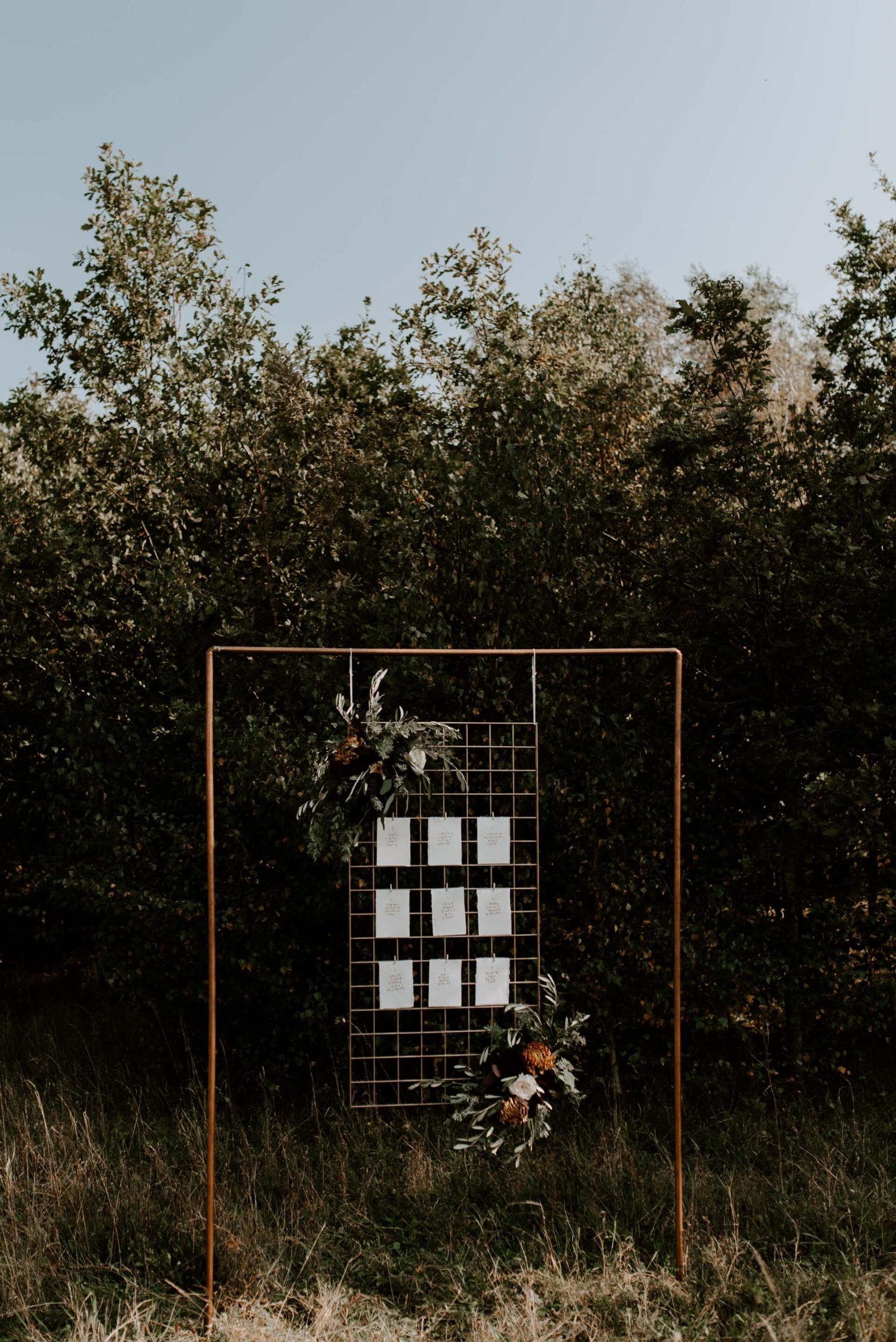 Wellington Wood - 22.9.20 - Laura Williams Photography - Blog-15.jpg