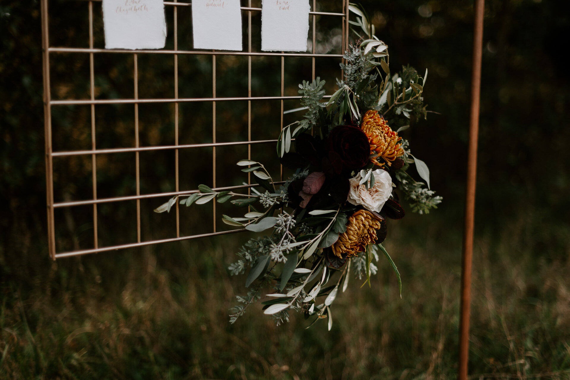 Wellington Wood - 22.9.20 - Laura Williams Photography - Blog-17.jpg