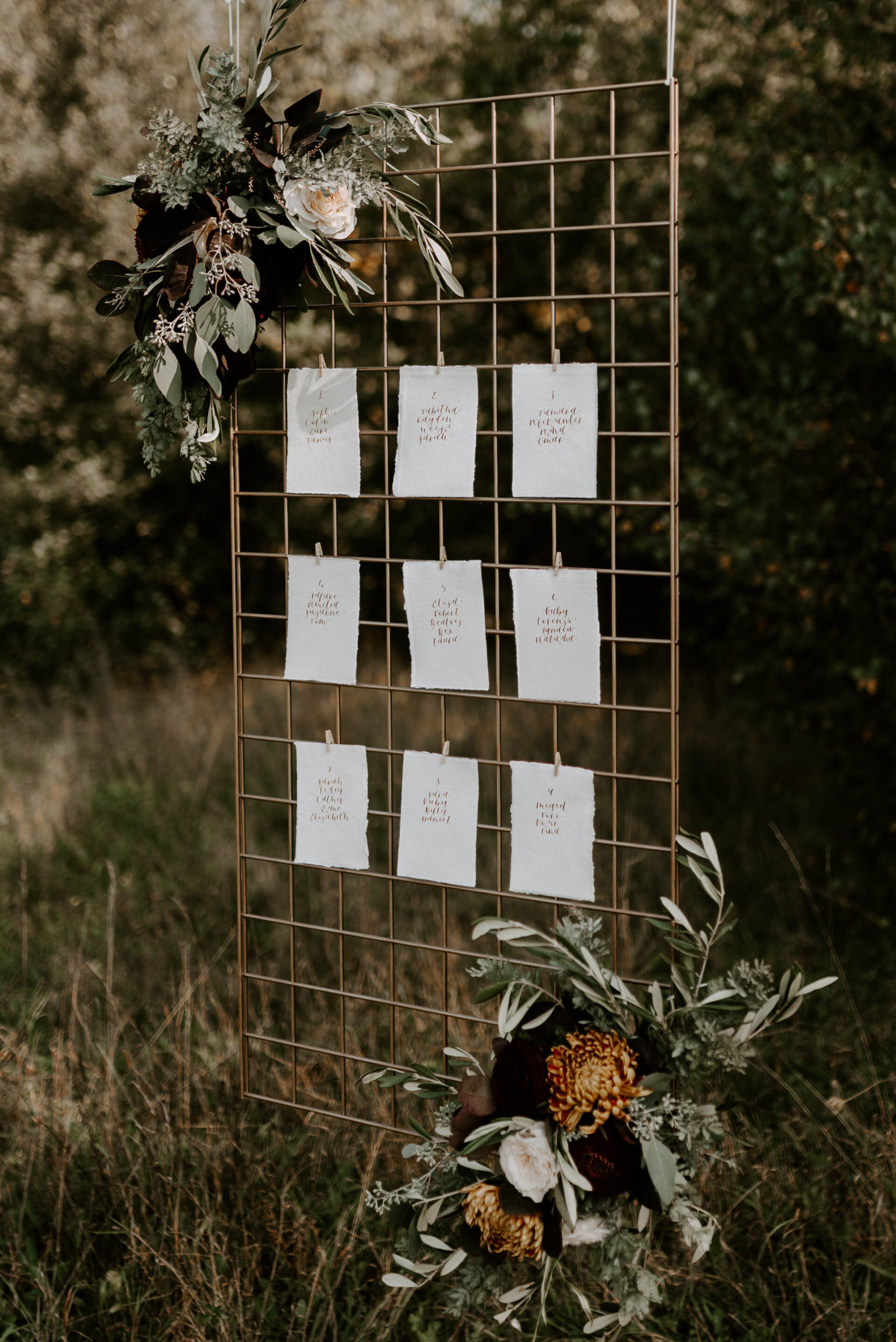 Wellington Wood - 22.9.20 - Laura Williams Photography - Blog-18.jpg