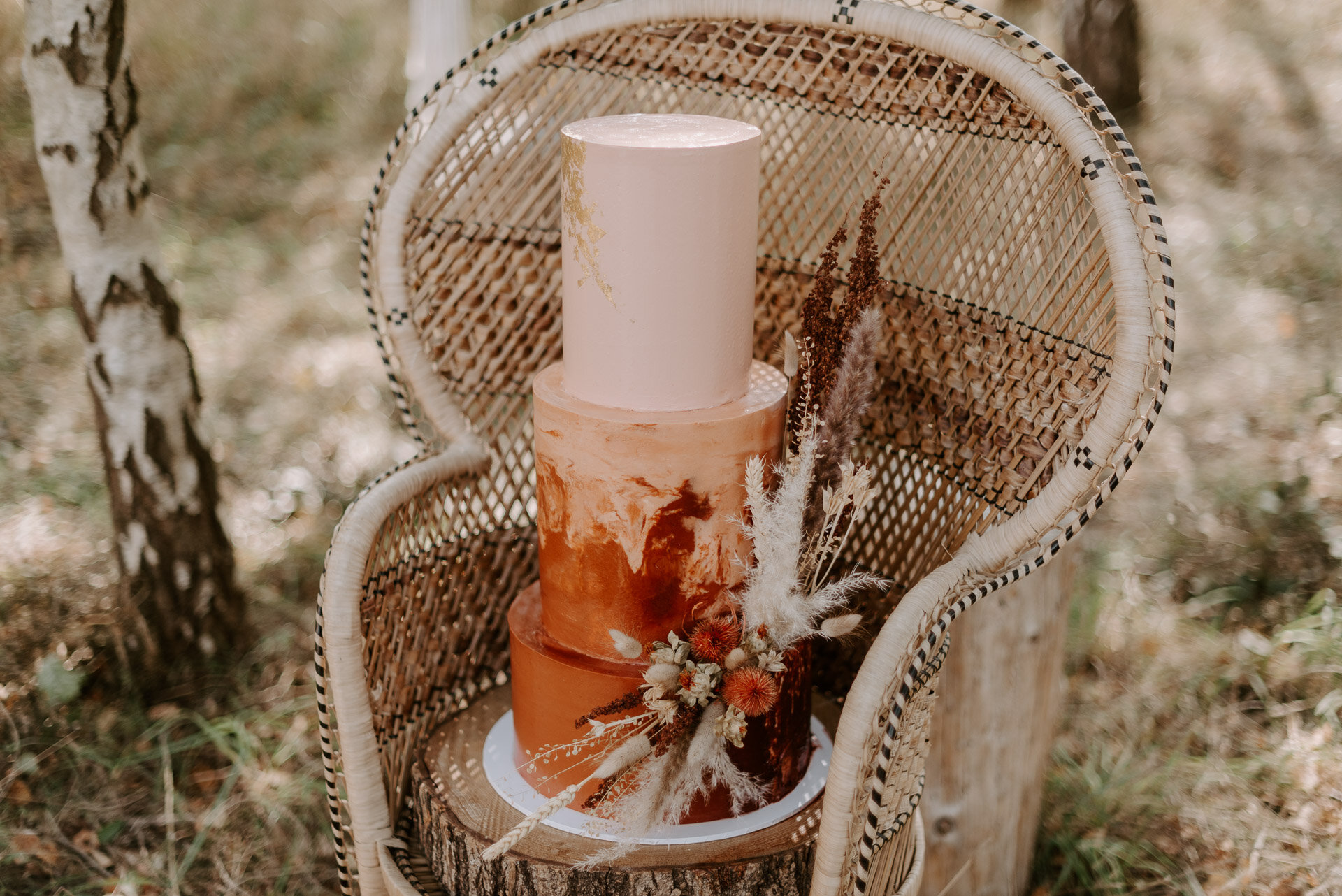 Wellington Wood - 22.9.20 - Laura Williams Photography - Blog-30.jpg