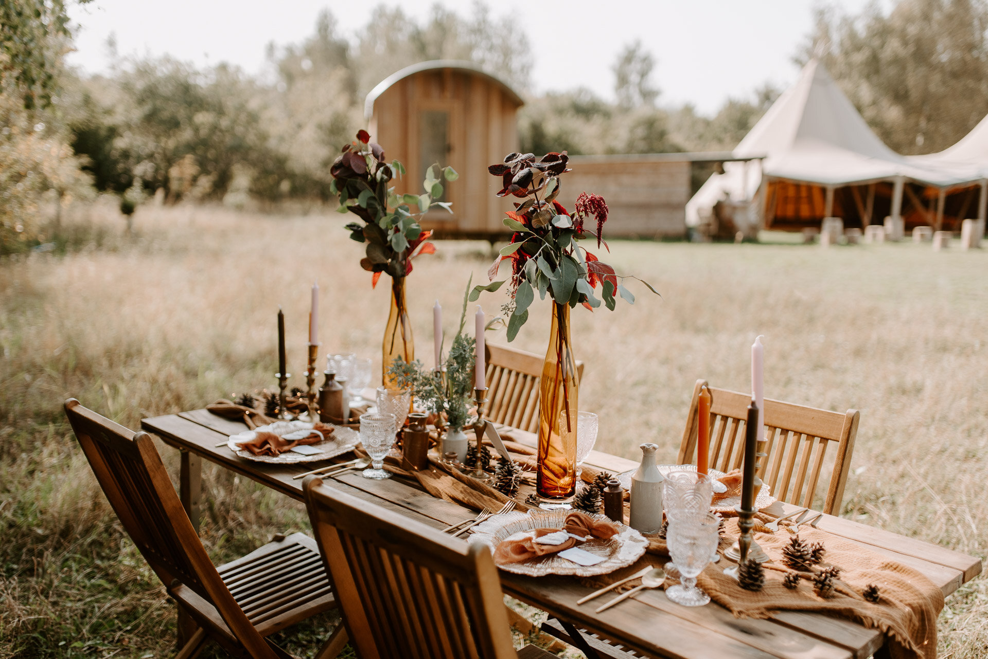 Wellington Wood - 22.9.20 - Laura Williams Photography - Blog-6.jpg
