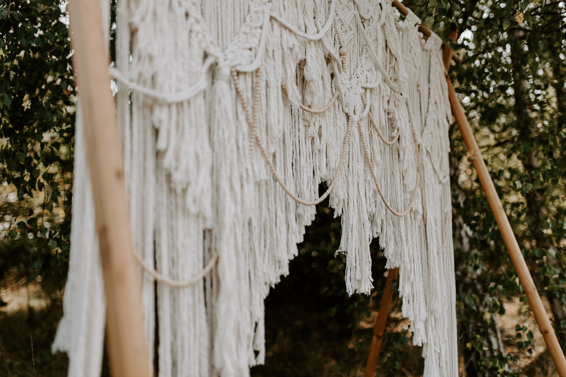 Wellington Wood - 22.9.20 - Laura Williams Photography - Blog-8.jpg