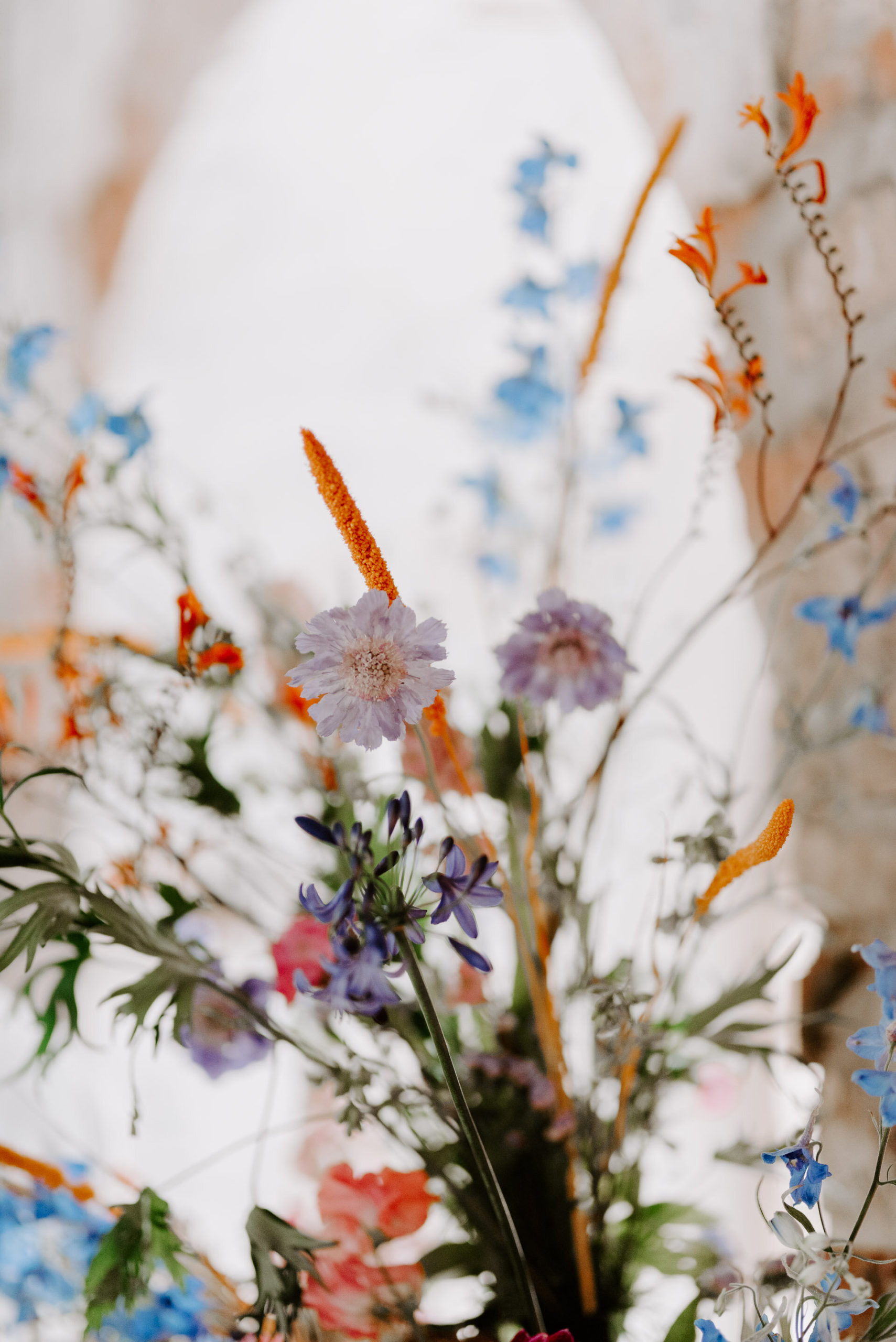 Fiesta at the Fig House - 12.8.20 - LR - Laura Williams Photography-125.jpg