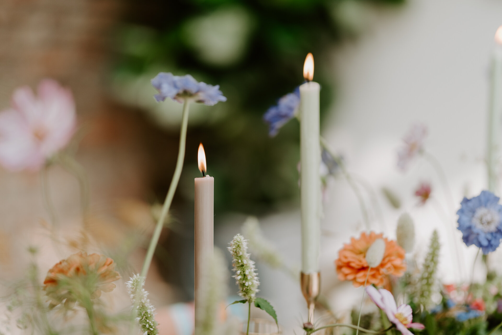 Fiesta at the Fig House - 12.8.20 - LR - Laura Williams Photography-153.jpg