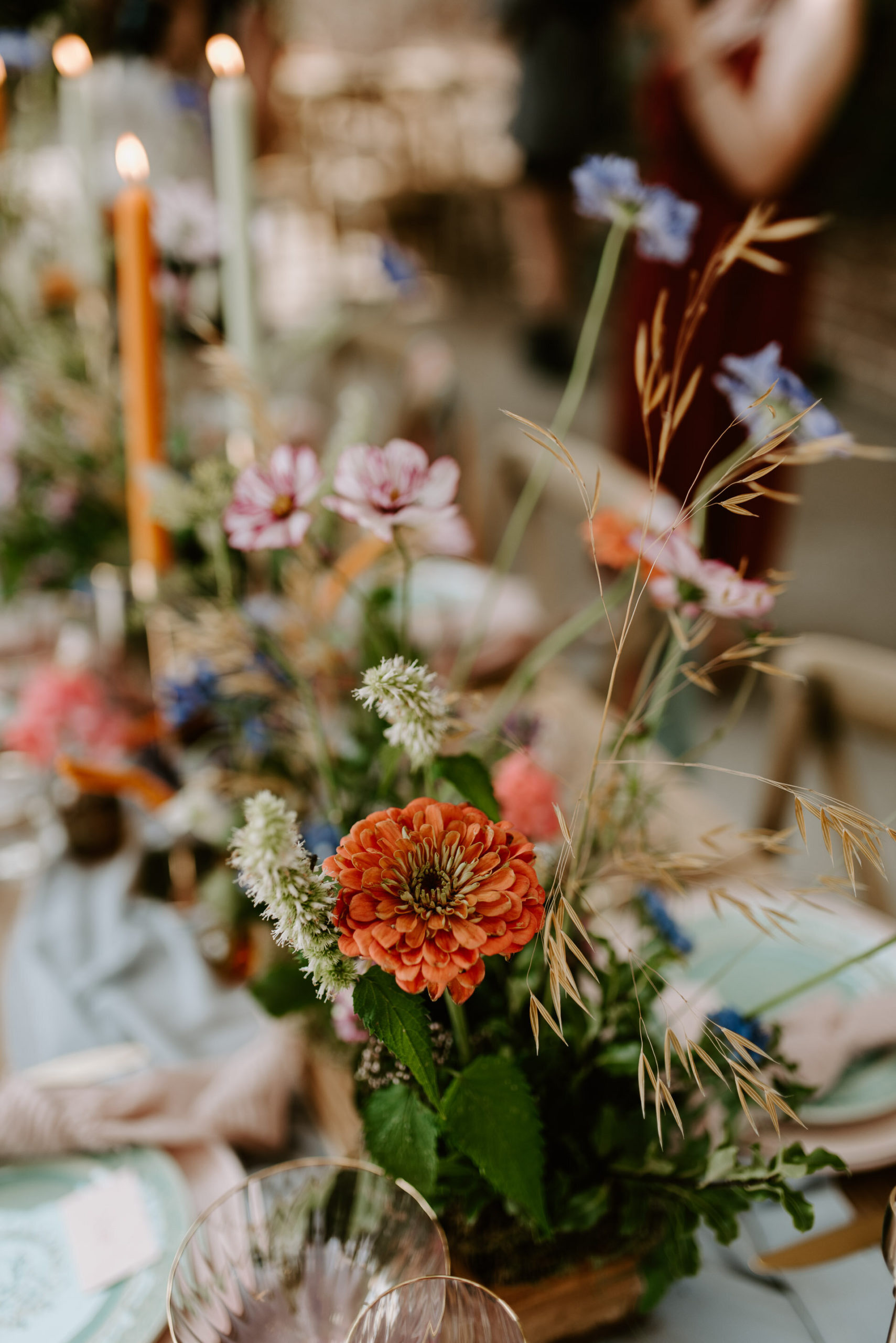 Fiesta at the Fig House - 12.8.20 - LR - Laura Williams Photography-162.jpg