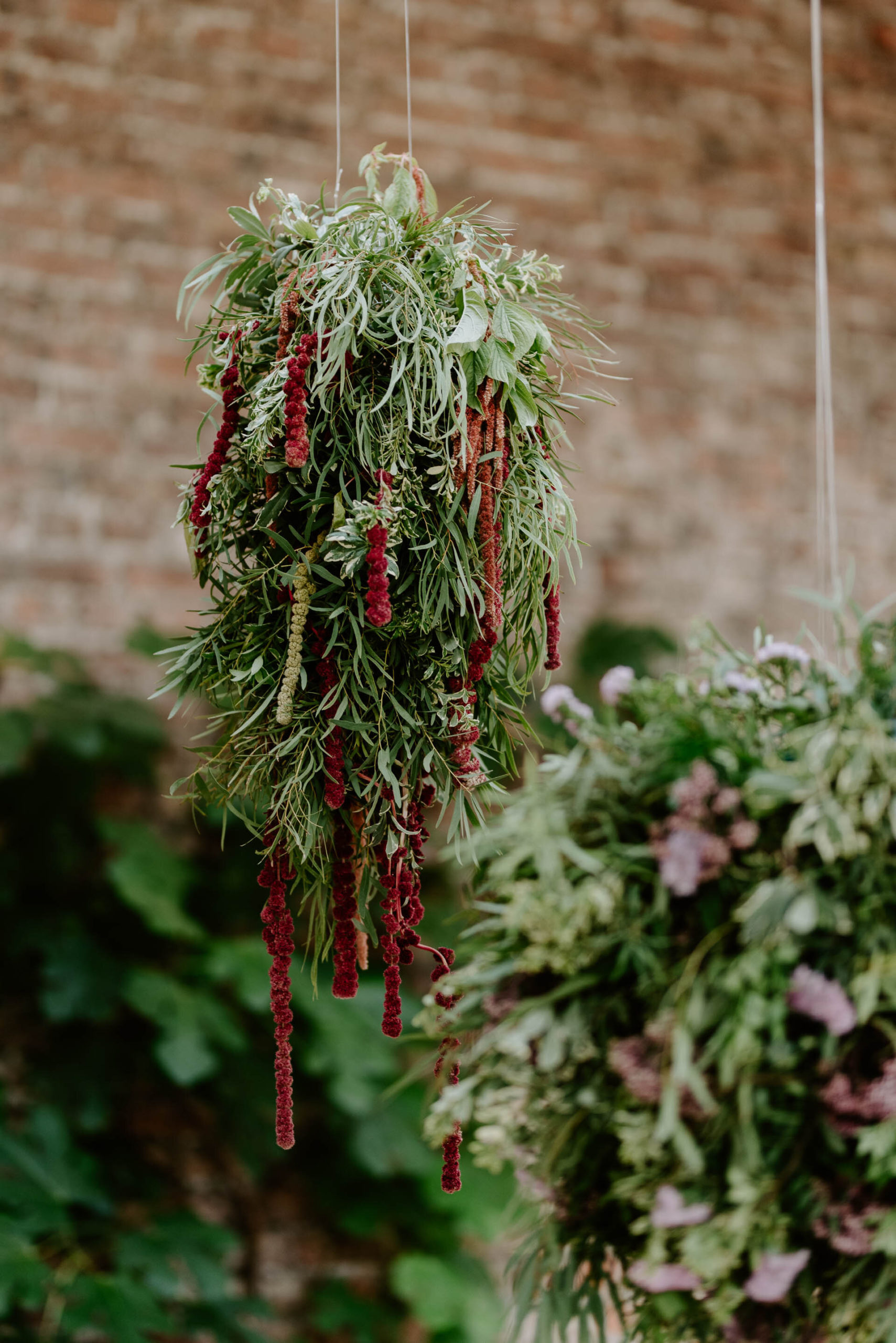 Fiesta at the Fig House - 12.8.20 - LR - Laura Williams Photography-168.jpg