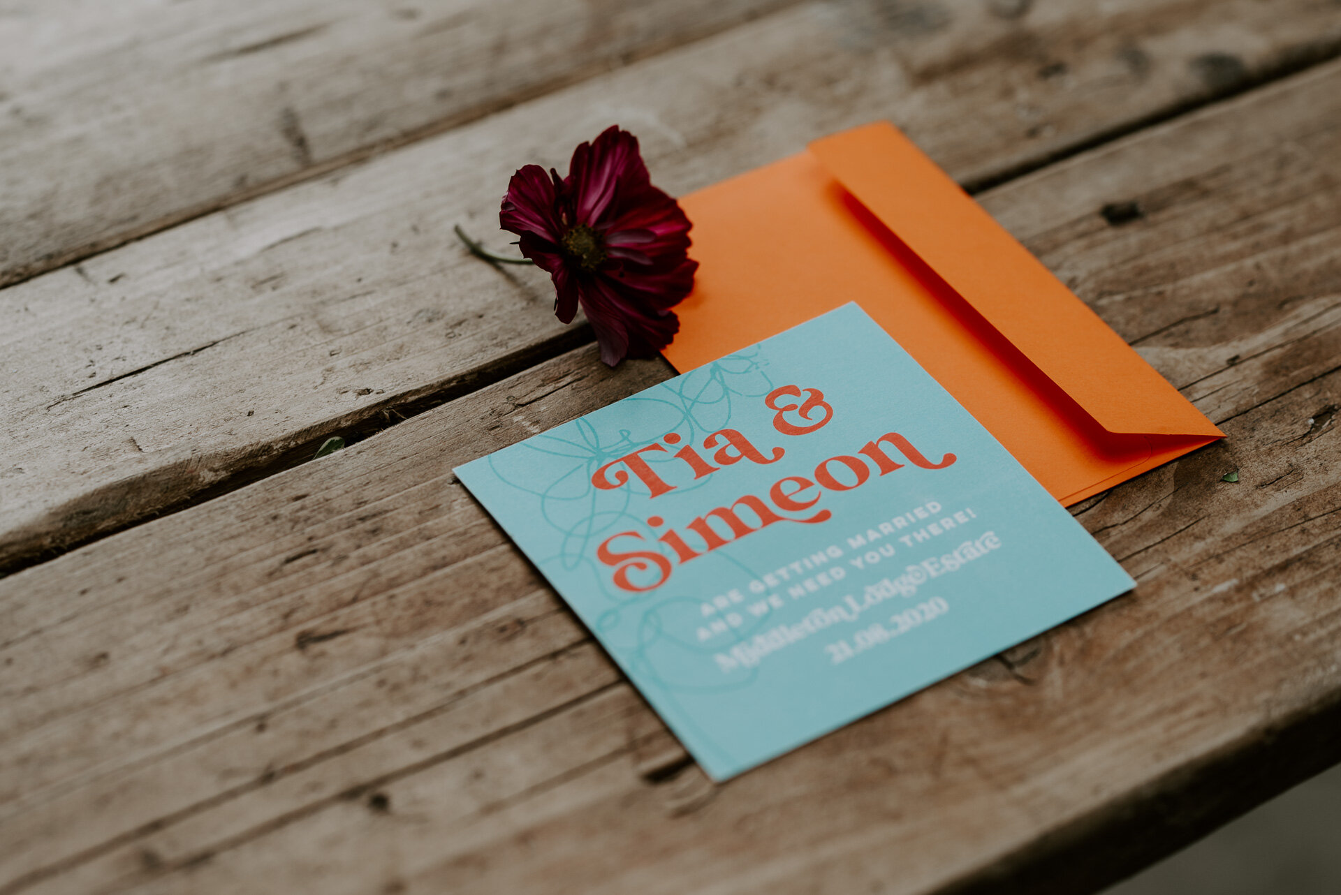 Fiesta at the Fig House - 12.8.20 - LR - Laura Williams Photography-35.jpg