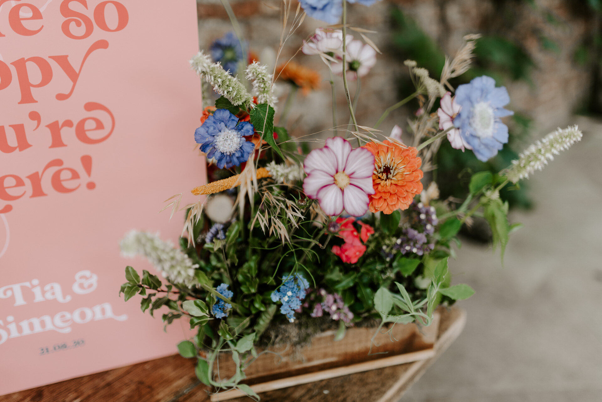 Fiesta at the Fig House - 12.8.20 - LR - Laura Williams Photography-382.jpg