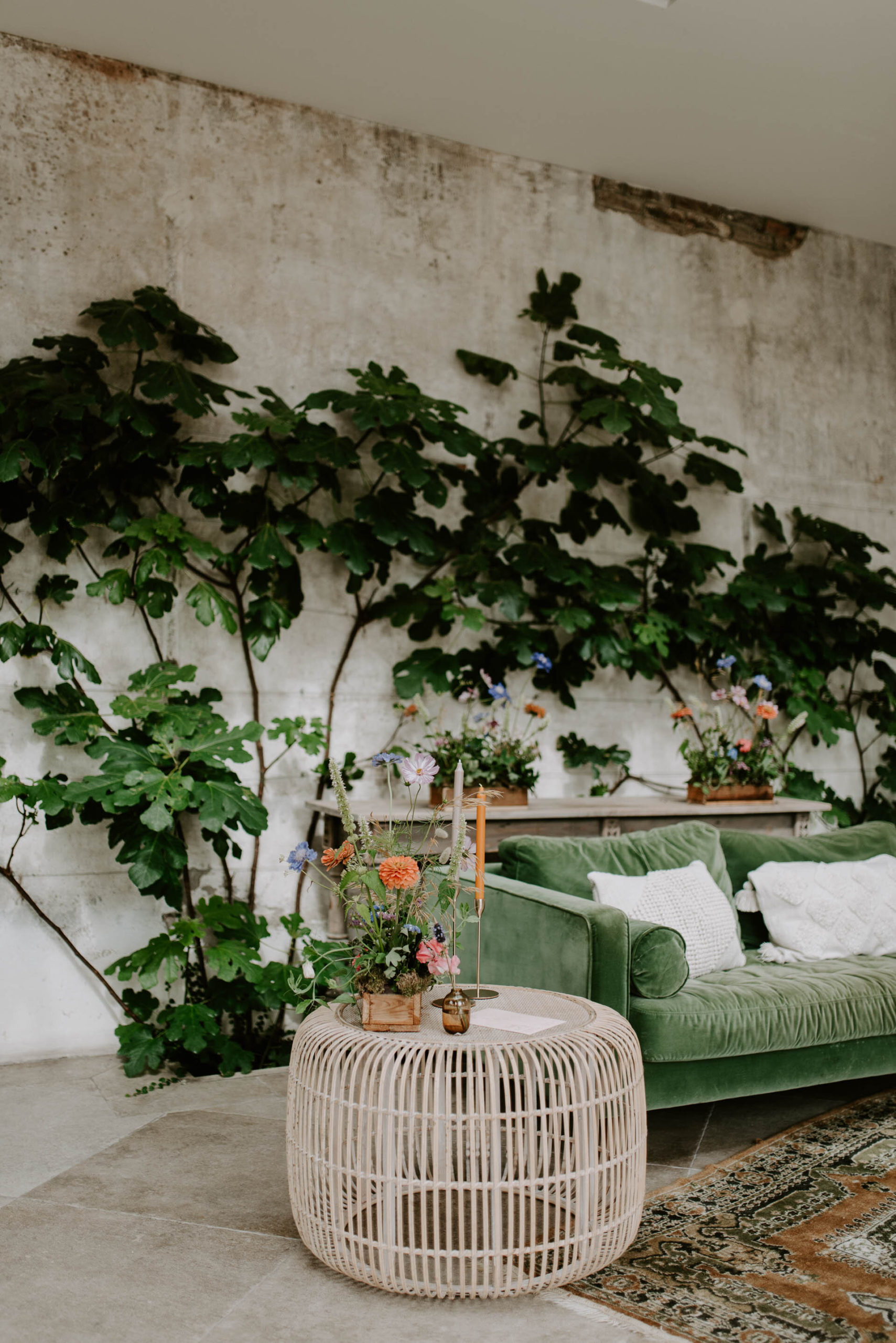 Fiesta at the Fig House - 12.8.20 - LR - Laura Williams Photography-66.jpg