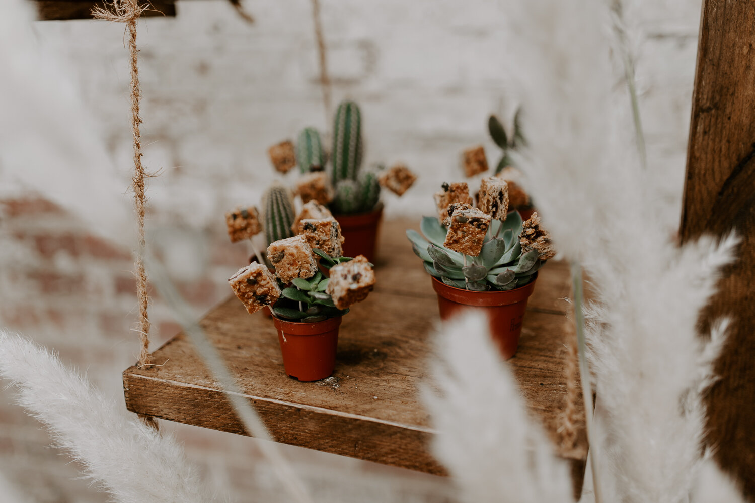 Western Rebel - A Beautiful Glasshouse - Laura Williams Photography -12.jpg