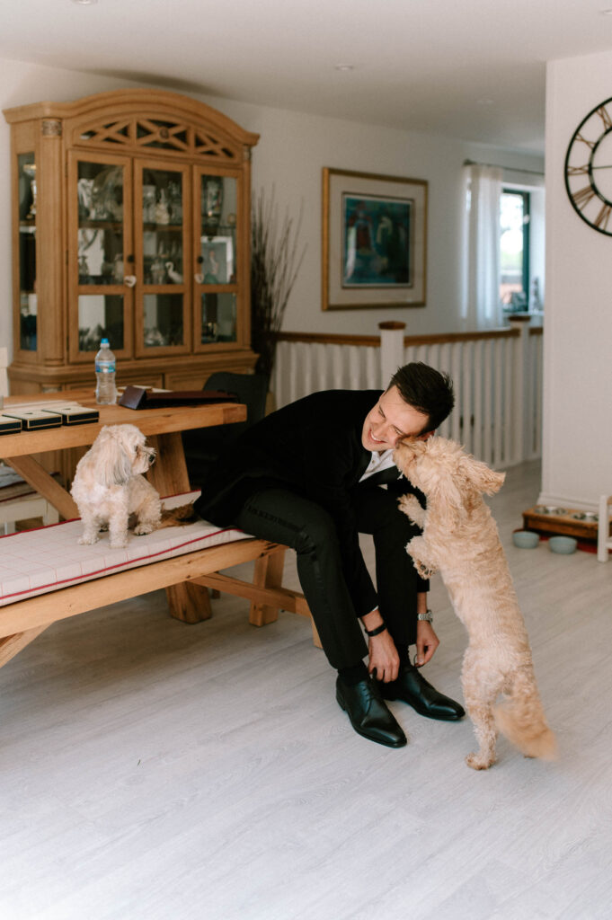 cockapoo dog linking grooms face as he puts his shoes on