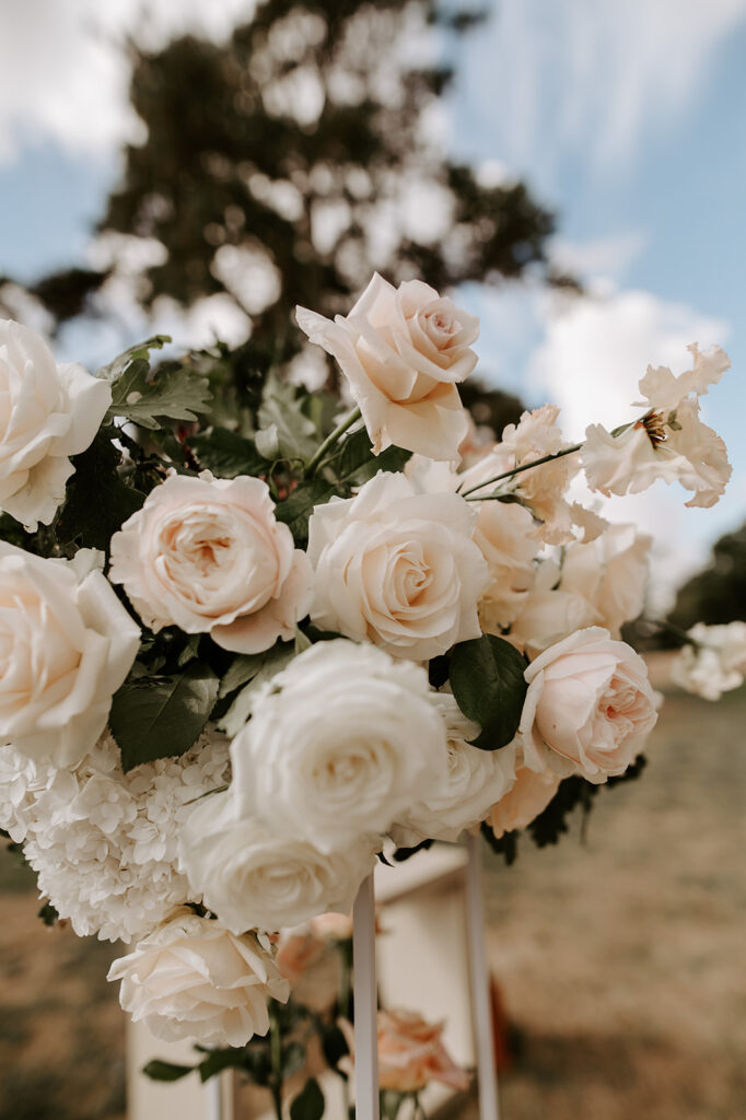 reflexed roses